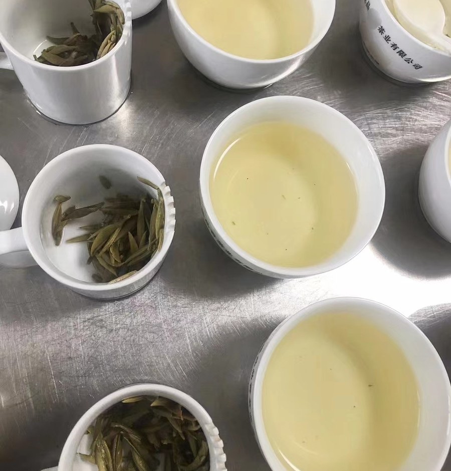 栖品荒野白毫银针