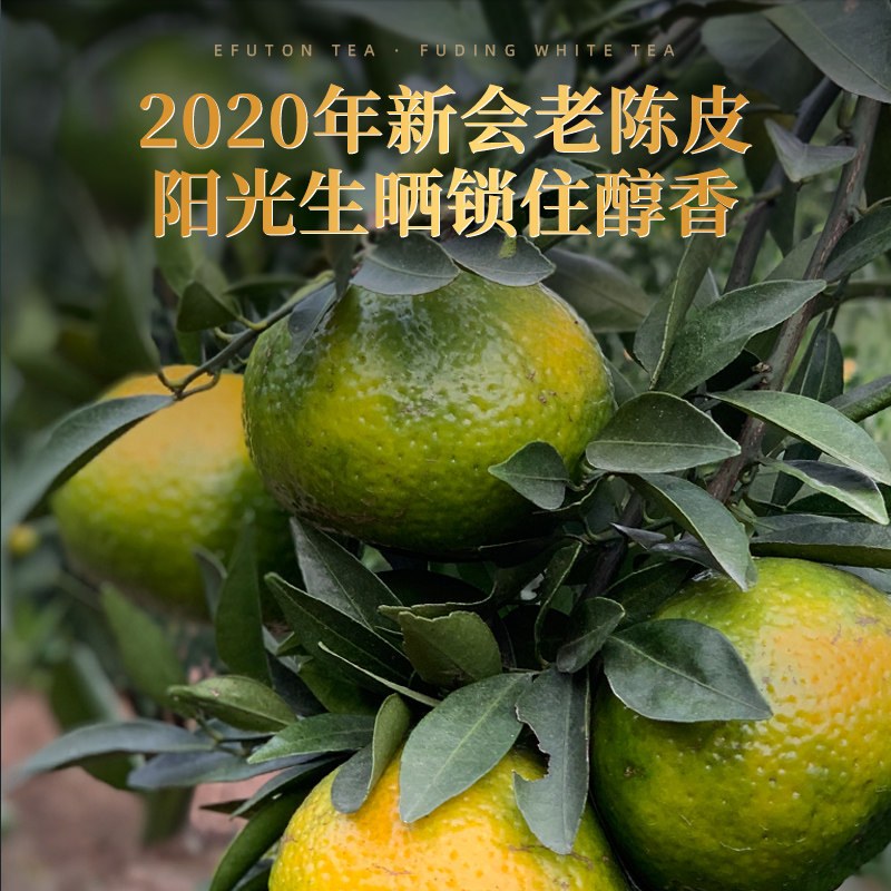 艺福堂陈皮白茶品鉴装30g高山福鼎老白茶寿眉小方片